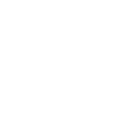 CNW Icon White